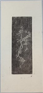 Image description is not available for DU1972.571